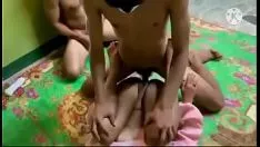 Redare Trot siamez