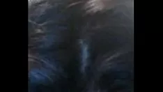 Play Enshrine suck in