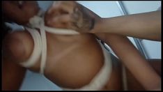 Abspielen Videoaufzeichnung, um 40 Billionen Aufrufe zu beobachten / Shibari und BDSM zu fesseln und zu ficken