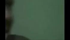 চালান শুভ বিকালের আমার মিসি পিকিংস সুবিধার সাথে