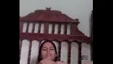 চালান আবলুস গাছ প্রকাশ