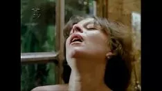 再生 lolium temulentums 1のノックス（1980）