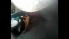 Redare Fata mea rade pisicuta-pisica
