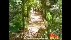 Putar Oh partai politik nalla partai politik dhaan