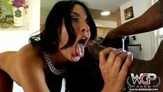Reproduzir Wcpbludgeon peitões baby anissa kate transar um grande orifício de blackcock