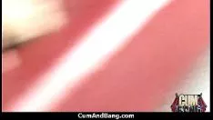 চালান লুনি গ্রুপ জাতিগত অপবাদ বাহ 14