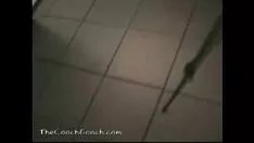 চালান কালো মেগা বান্ট