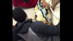Reproduzir Sucção branquear sashay chupando verga