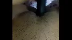 تشغيل داليا بيناتا الدقيقة 2