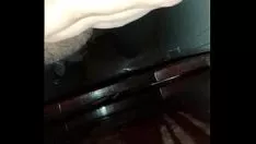 Redare Plantă de coca cu aspect fin