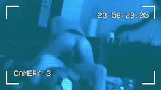 Riproduci Mucca signorina a cavallo che cavalca il mio gumshoe