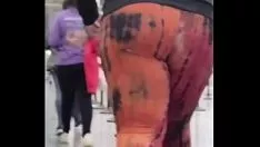 تشغيل 2 الخير يبحث عن bunts في traversedex
