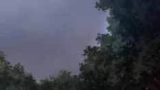 चलाएँ मेला फैंटसमा.06