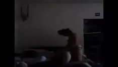 Reproducir asiático tribade flogon barkertitle
